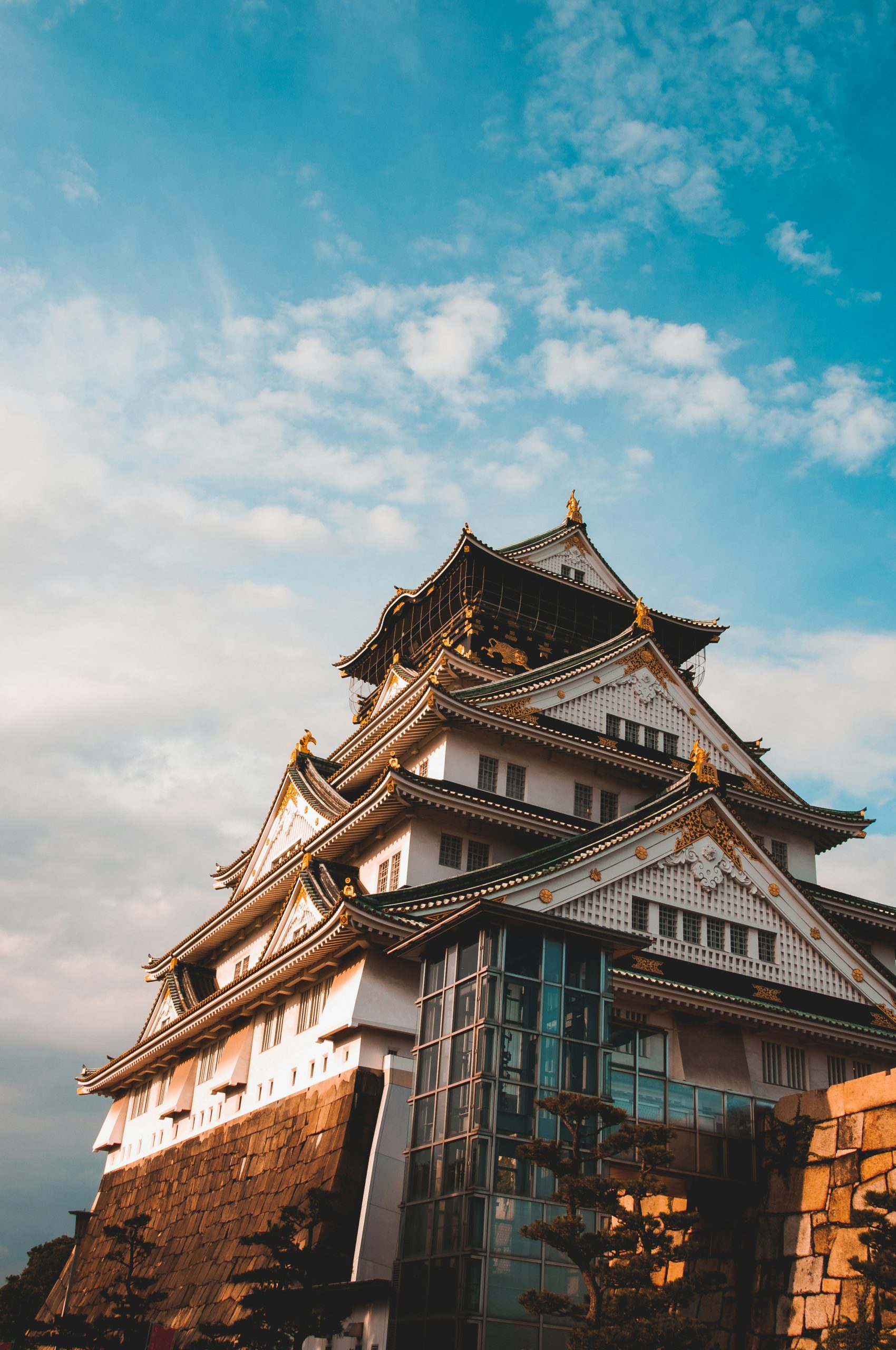 Viaje grupal a Japón 2026
